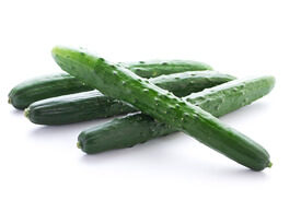 3951