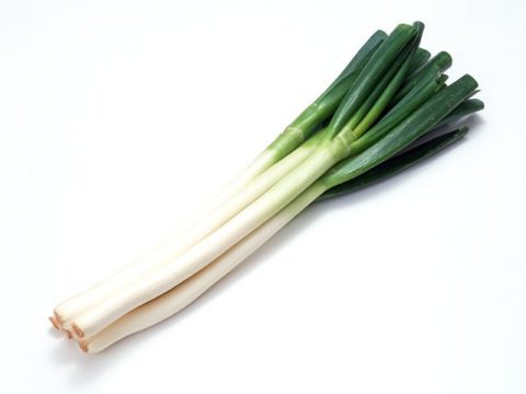 4068